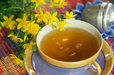 Cup of Tea and St John's Wort Plant